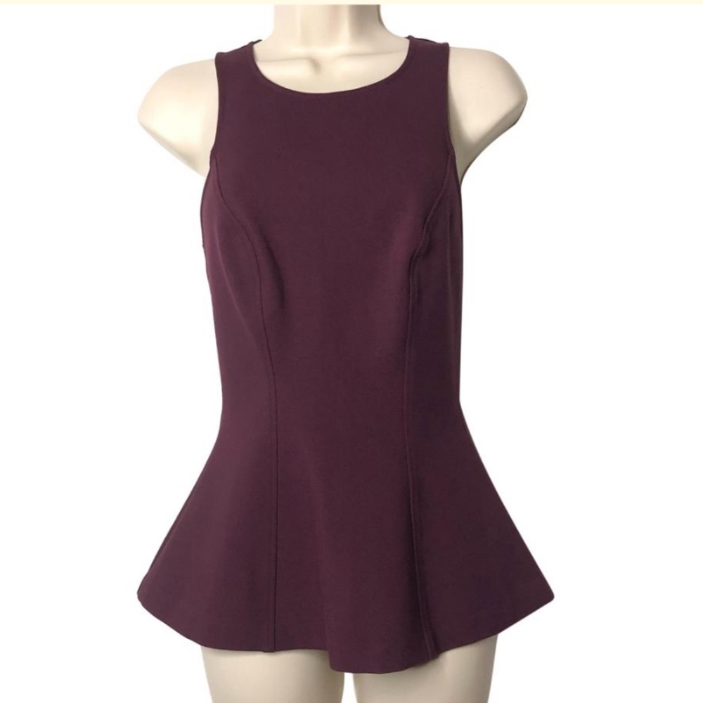 Intermix Burgundy Purple Peplum Top w Black Mesh